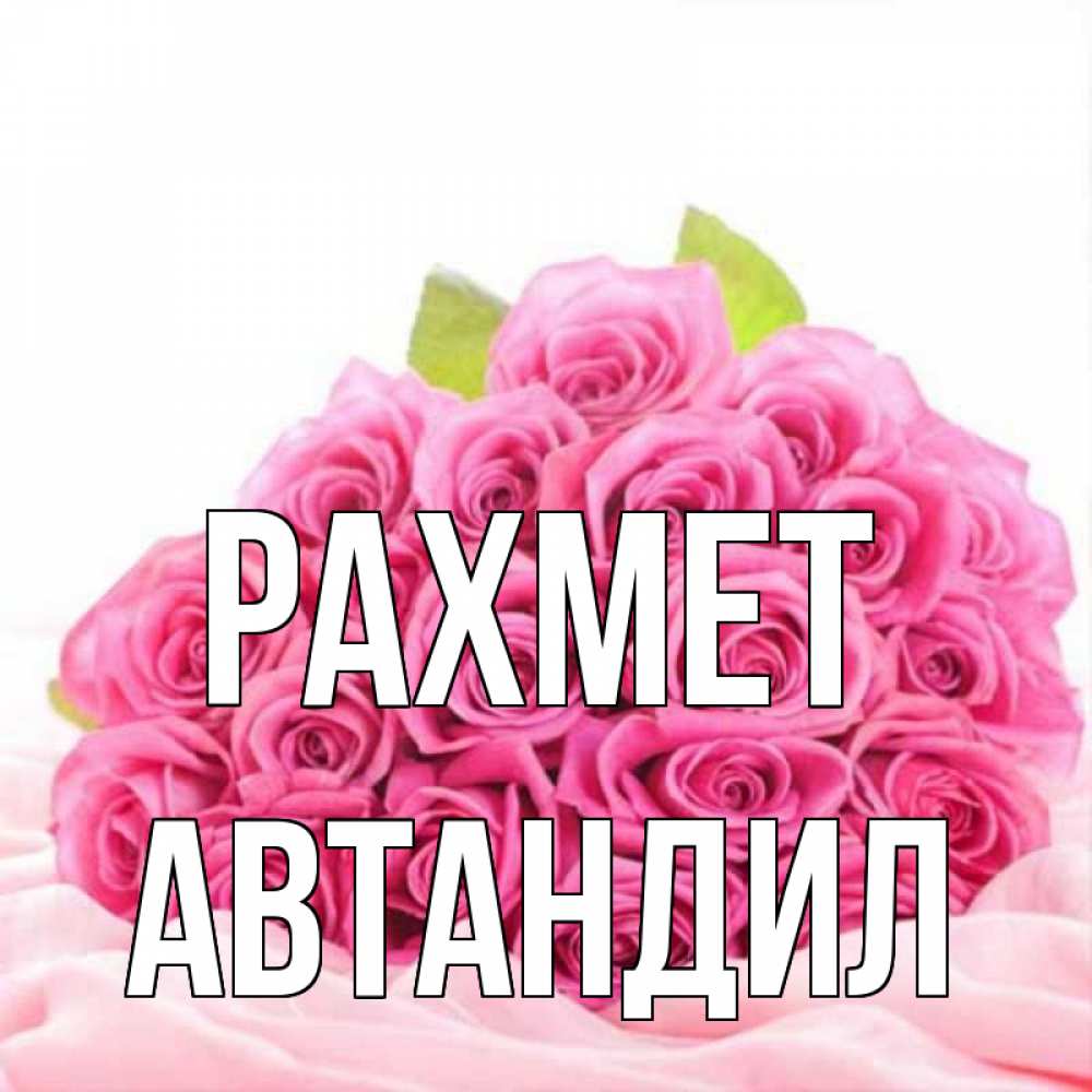 Күн сайын ашық хат с именем, Автандил рахмет розовые розы с подписью Онлайн тегін жүктеп алу тілектері бар керемет карта 