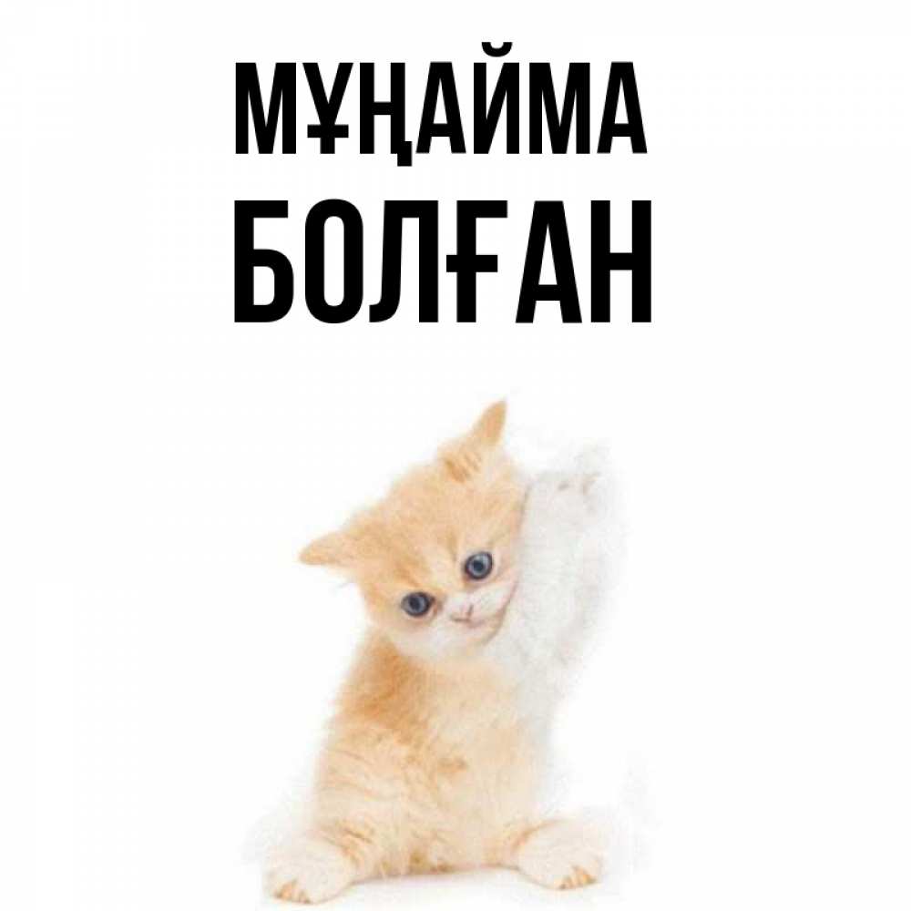 Күн сайын ашық хат с именем, Болған Мұңайма просящий кот Онлайн тегін жүктеп алу тілектері бар керемет карта 