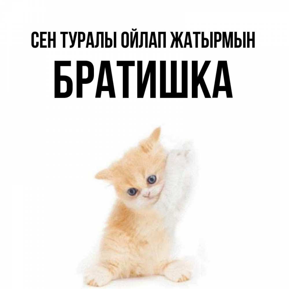 Күн сайын ашық хат с именем, Братишка Сен туралы ойлап жатырмын зверушки и милота Онлайн тегін жүктеп алу тілектері бар керемет карта 