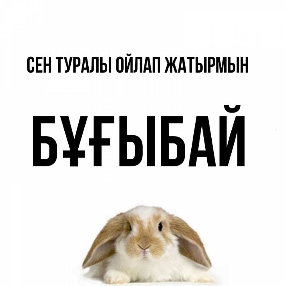 Күн сайын ашық хат с именем, Бұғыбай Сен туралы ойлап жатырмын подписать своими руками онлайн Онлайн тегін жүктеп алу тілектері бар керемет карта 