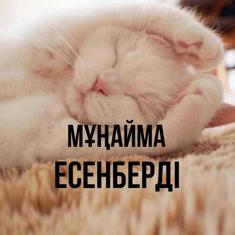 Күн сайын ашық хат с именем, Есенберді Мұңайма Котенок спит Онлайн тегін жүктеп алу тілектері бар керемет карта 