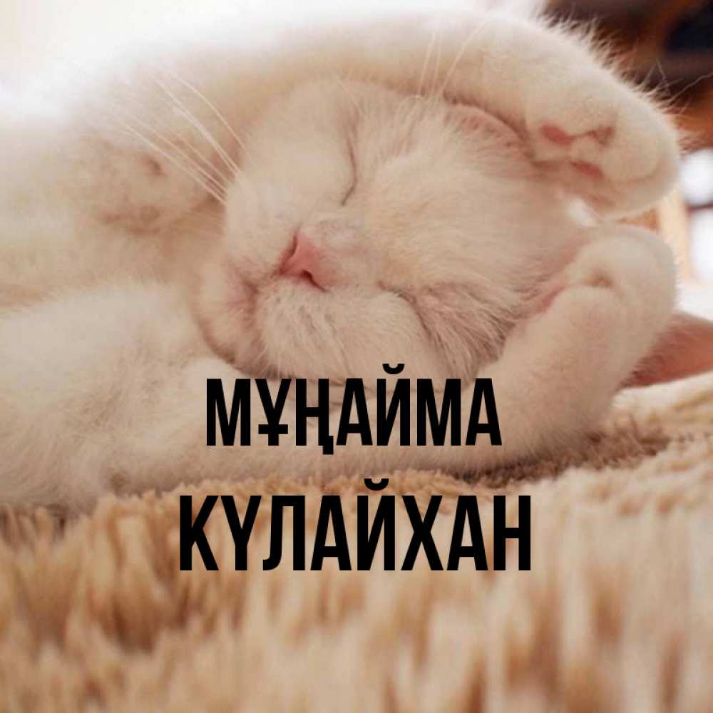Күн сайын ашық хат с именем, КҮЛАЙХАН Мұңайма Котенок спит Онлайн тегін жүктеп алу тілектері бар керемет карта 