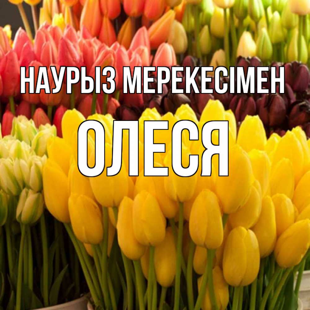Күн сайын ашық хат с именем, Олеся Наурыз мерекесімен цветы Онлайн тегін жүктеп алу тілектері бар керемет карта 
