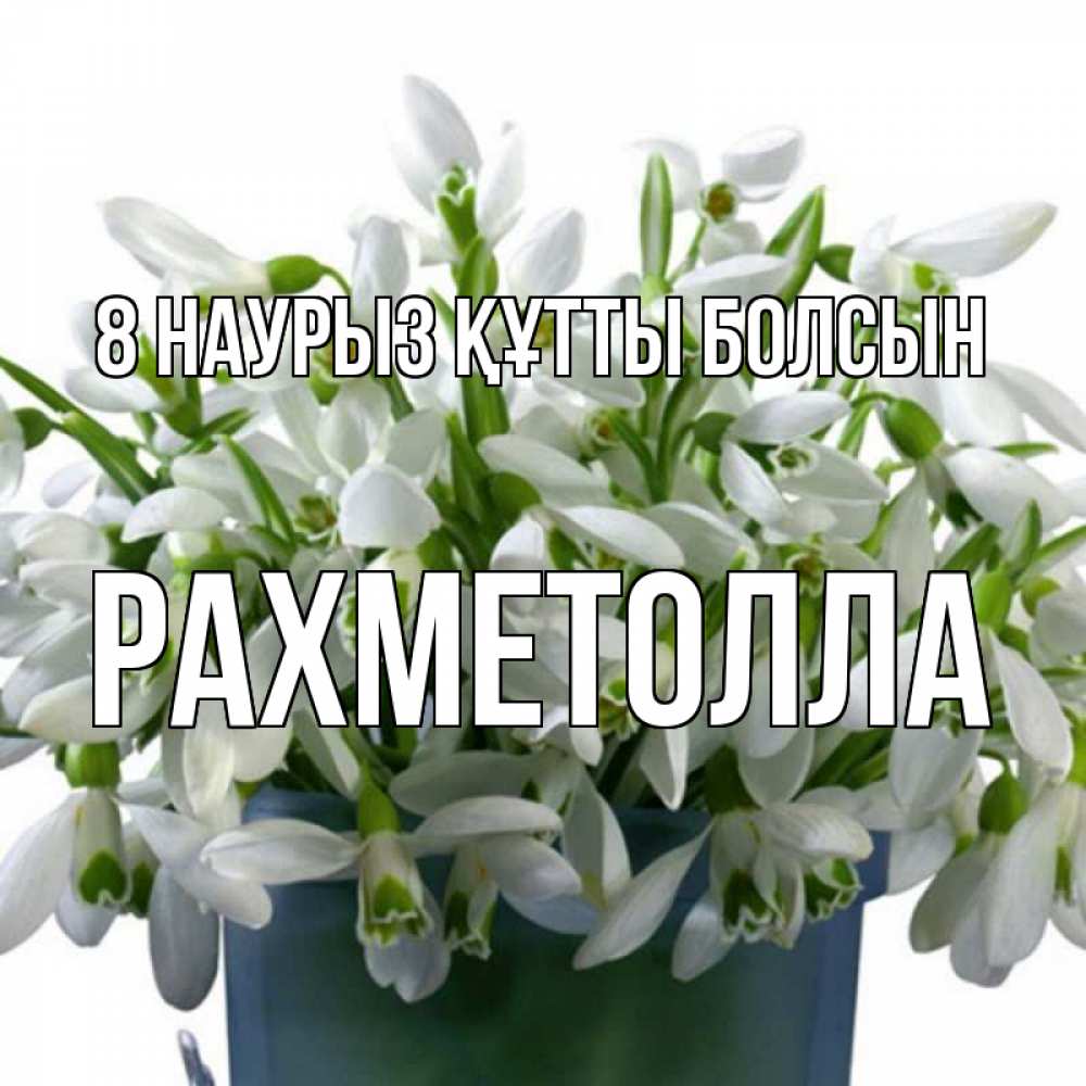 Күн сайын ашық хат с именем, РАХМЕТОЛЛА 8 наурыз құтты болсын цветы к международному женскому дню Онлайн тегін жүктеп алу тілектері бар керемет карта 