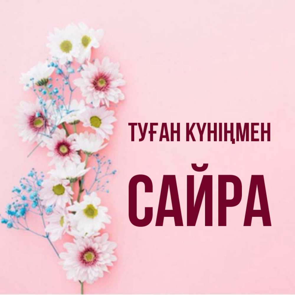 Күн сайын ашық хат с именем, САЙРА Туған күніңмен Родная моя с днем рождения тебя картинка с цветами белыми и голубыми Онлайн тегін жүктеп алу тілектері бар керемет карта 