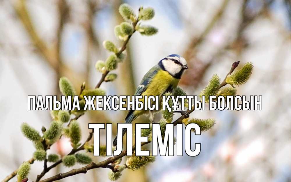 Күн сайын ашық хат с именем, ТІЛЕМІС Пальма жексенбісі құтты болсын верба Онлайн тегін жүктеп алу тілектері бар керемет карта 