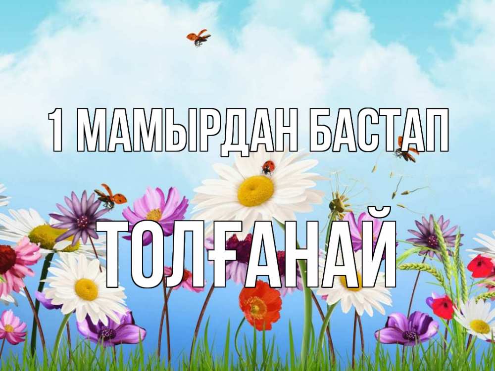 Күн сайын ашық хат с именем, ТОЛҒАНАЙ 1 мамырдан бастап С 1 мая Онлайн тегін жүктеп алу тілектері бар керемет карта 