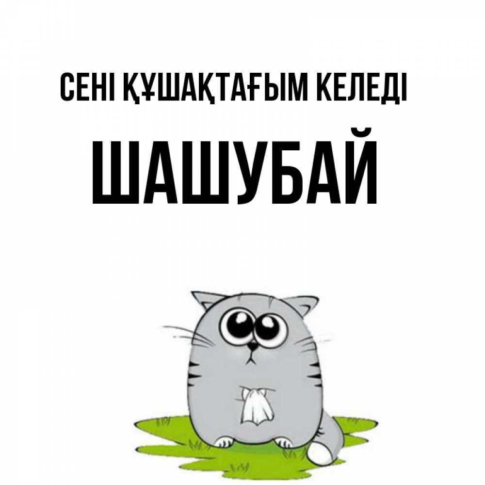 Күн сайын ашық хат с именем, ШАШУБАЙ сені құшақтағым келеді котик теребит платочек сидя на травке Онлайн тегін жүктеп алу тілектері бар керемет карта 