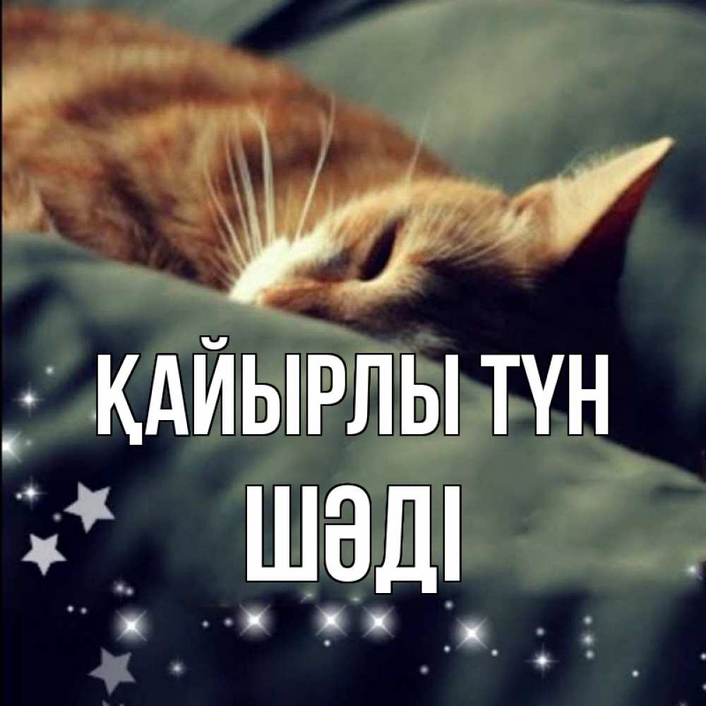 Күн сайын ашық хат с именем, ШӘДІ Қайырлы түн кроватка Онлайн тегін жүктеп алу тілектері бар керемет карта 