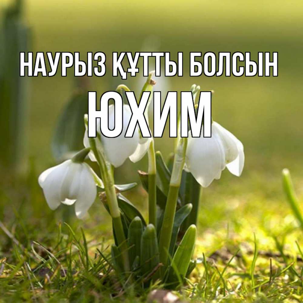 Күн сайын ашық хат с именем, Юхим Наурыз құтты болсын ранние цветы 2 Онлайн тегін жүктеп алу тілектері бар керемет карта 