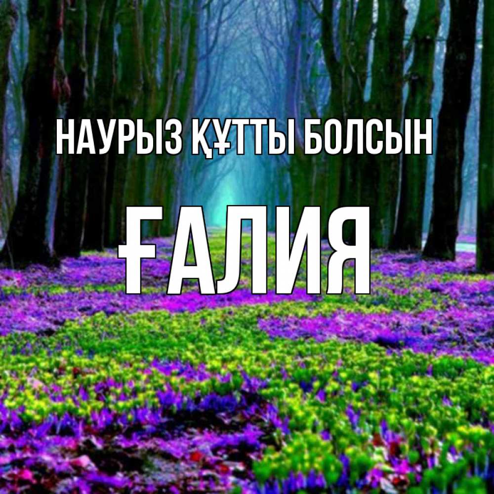 Күн сайын ашық хат с именем, ҒАЛИЯ Наурыз құтты болсын фиолетовые цветы в лесу 1 Онлайн тегін жүктеп алу тілектері бар керемет карта 