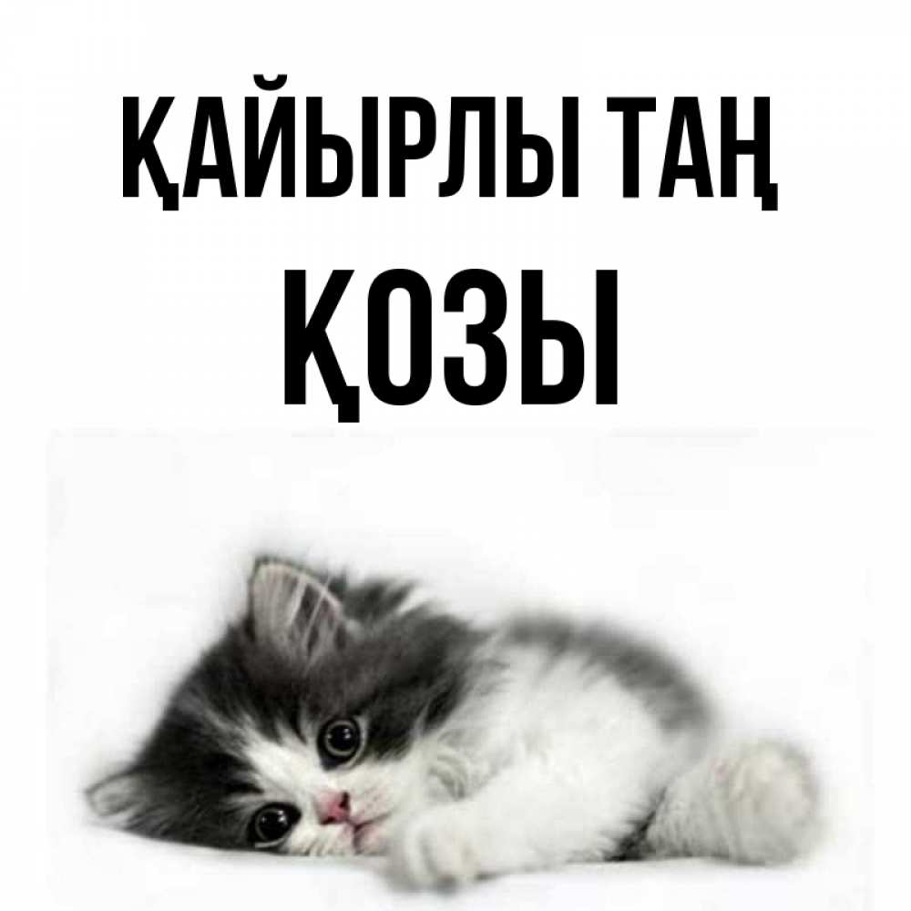Күн сайын ашық хат с именем, Қозы Қайырлы таң кот лапки Онлайн тегін жүктеп алу тілектері бар керемет карта 