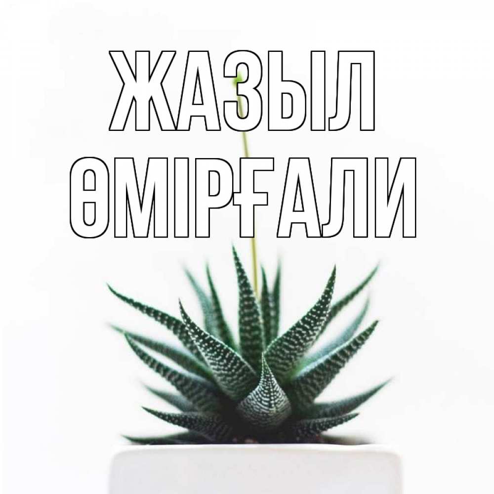 Күн сайын ашық хат с именем, ӨМІРҒАЛИ Жазыл короче это непонятная колючка Онлайн тегін жүктеп алу тілектері бар керемет карта 