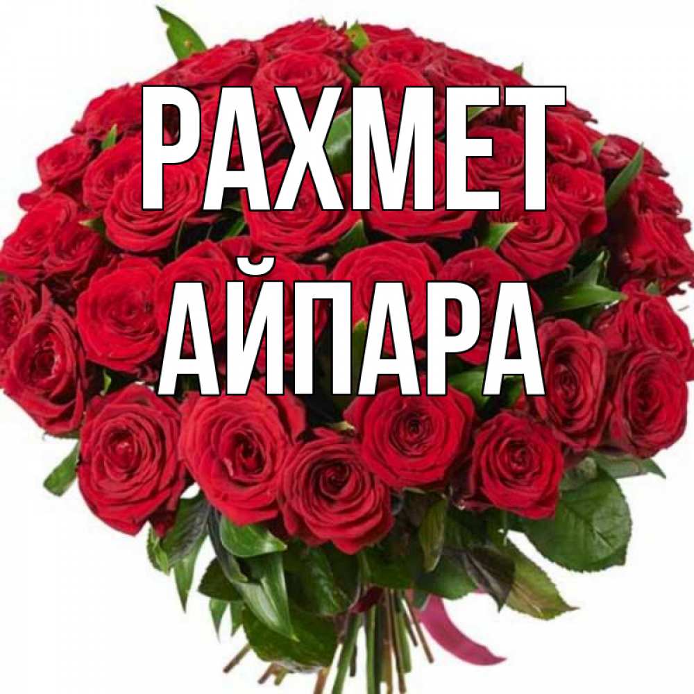 Күн сайын ашық хат с именем, АЙПАРА рахмет букет красных роз Онлайн тегін жүктеп алу тілектері бар керемет карта 