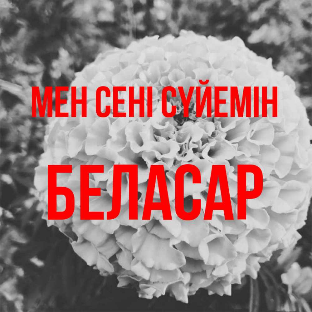 Күн сайын ашық хат с именем, Беласар Мен сені сүйемін подпись Онлайн тегін жүктеп алу тілектері бар керемет карта 