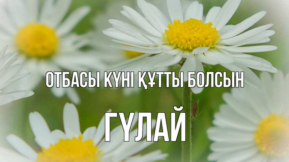 Күн сайын ашық хат с именем, ГҮЛАЙ отбасы күні құтты болсын с днем семьи  1 Онлайн тегін жүктеп алу тілектері бар керемет карта 