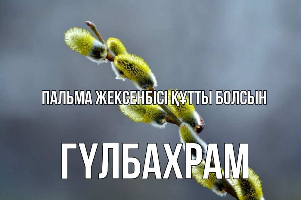 Күн сайын ашық хат с именем, ГҮЛБАХРАМ Пальма жексенбісі құтты болсын верба Онлайн тегін жүктеп алу тілектері бар керемет карта 