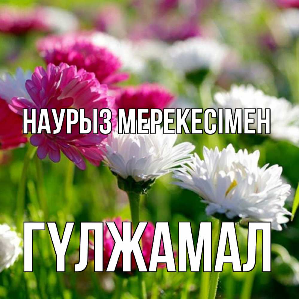 Күн сайын ашық хат с именем, ГҮЛЖАМАЛ Наурыз мерекесімен праздник весны наурыз красота Онлайн тегін жүктеп алу тілектері бар керемет карта 