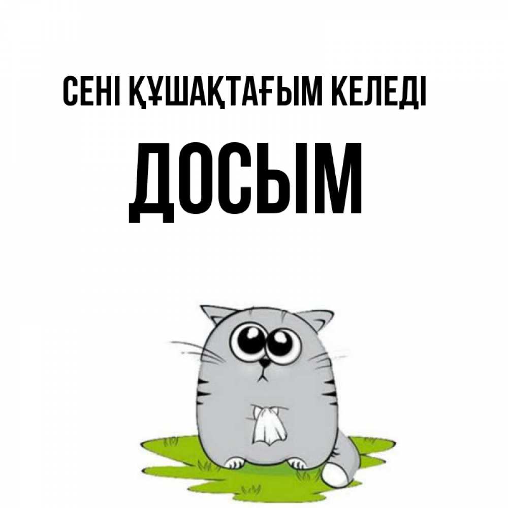 Күн сайын ашық хат с именем, Досым сені құшақтағым келеді котик теребит платочек сидя на травке Онлайн тегін жүктеп алу тілектері бар керемет карта 