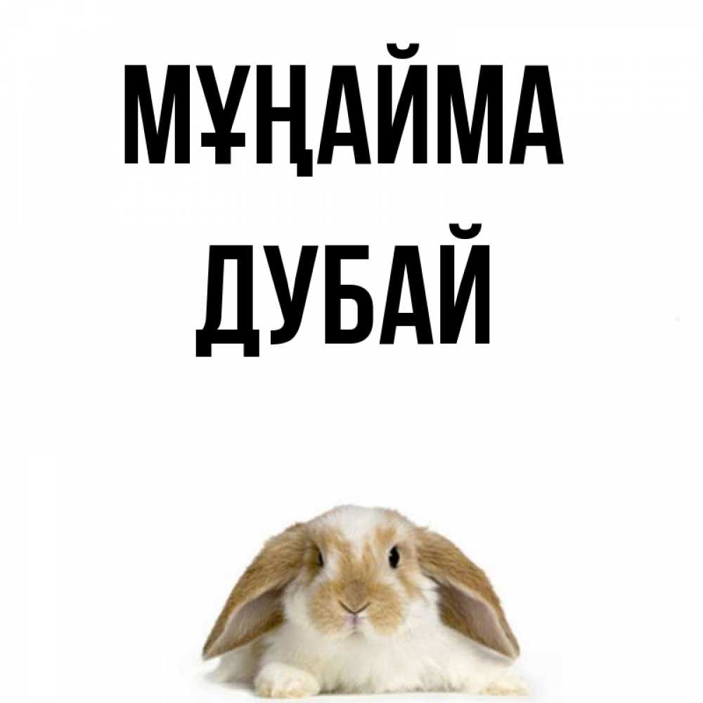 Күн сайын ашық хат с именем, Дубай Мұңайма коричнево белый заяц с большими ушками Онлайн тегін жүктеп алу тілектері бар керемет карта 