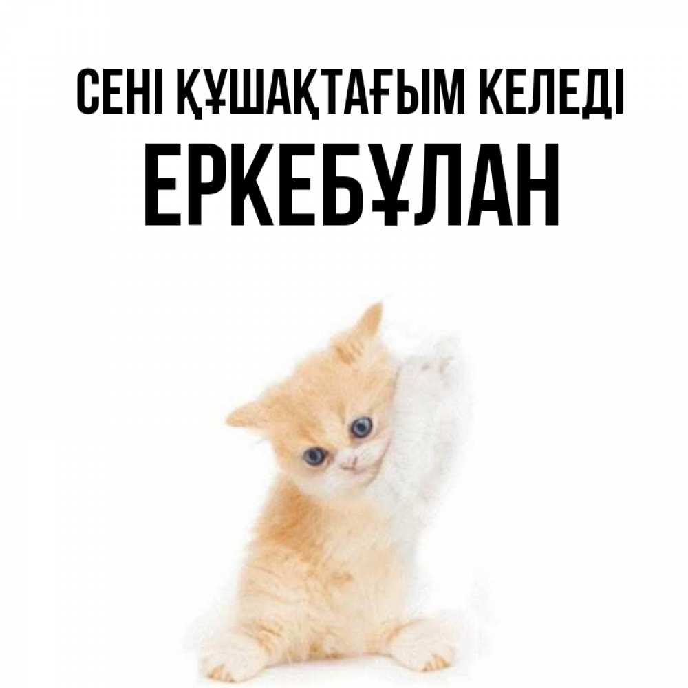 Күн сайын ашық хат с именем, Еркебұлан сені құшақтағым келеді я хочу очень скорее обнимаешек Онлайн тегін жүктеп алу тілектері бар керемет карта 