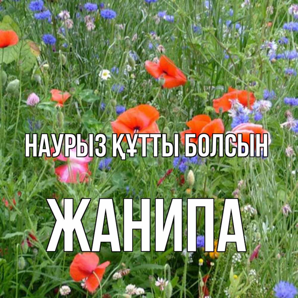 Күн сайын ашық хат с именем, ЖАНИПА Наурыз құтты болсын наурыз  4 Онлайн тегін жүктеп алу тілектері бар керемет карта 