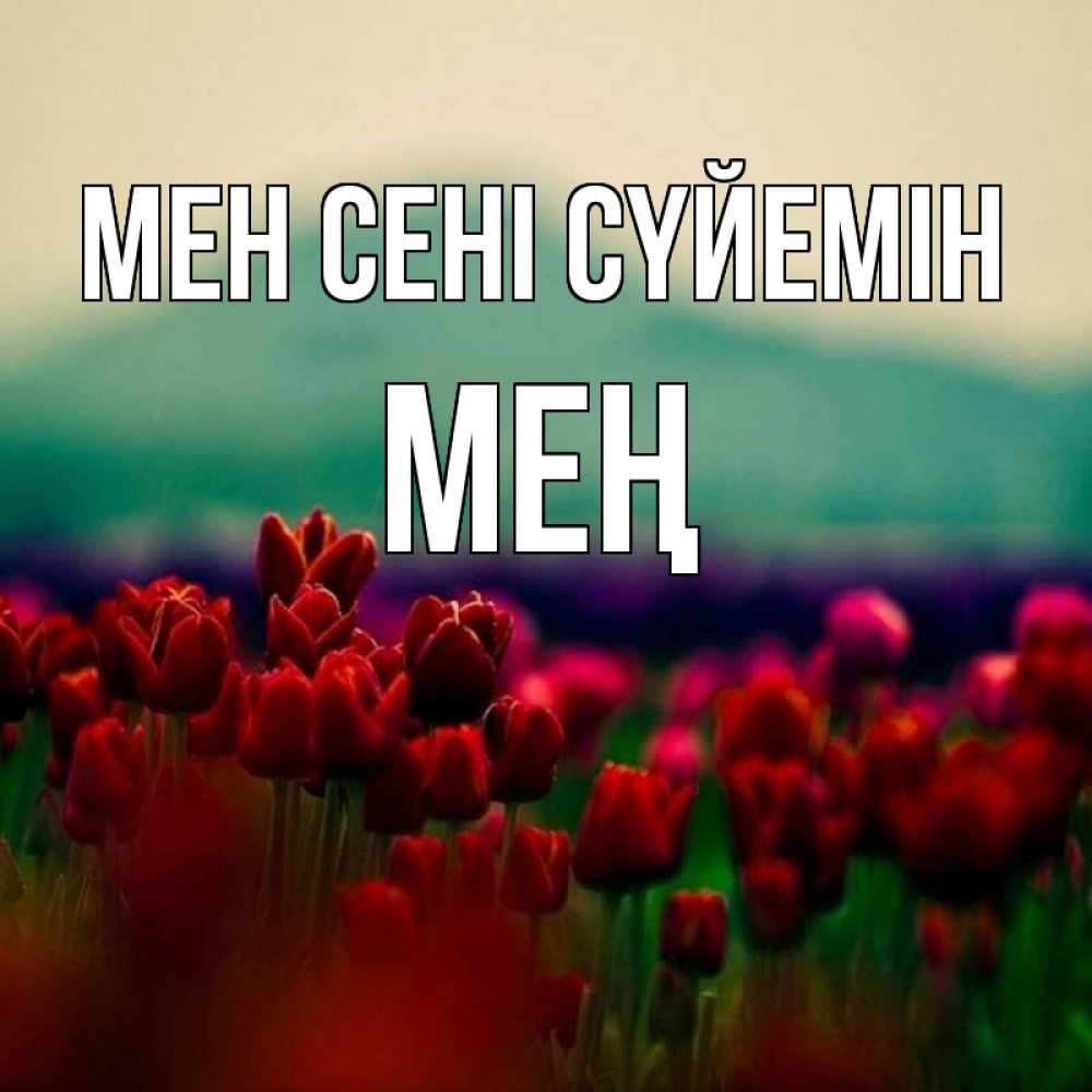 Күн сайын ашық хат с именем, МЕҢ Мен сені сүйемін тюльпаны 4 Онлайн тегін жүктеп алу тілектері бар керемет карта 