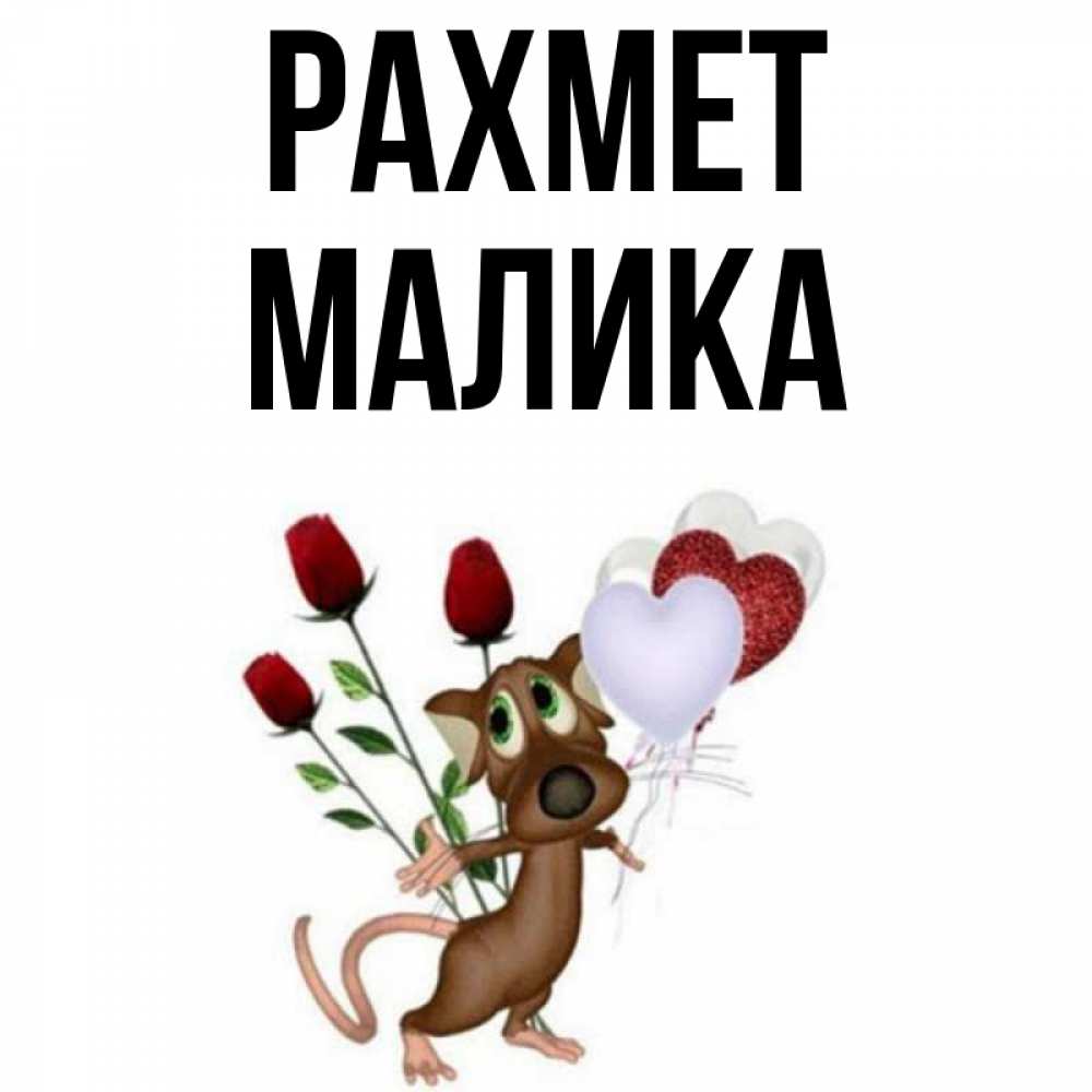 Күн сайын ашық хат с именем, Малика рахмет песик с шариками в форме сердец Онлайн тегін жүктеп алу тілектері бар керемет карта 