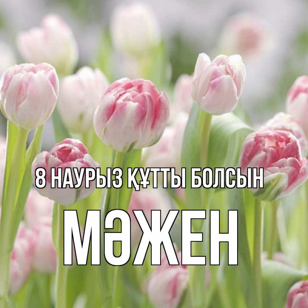 Күн сайын ашық хат с именем, МӘЖЕН 8 наурыз құтты болсын цветы Онлайн тегін жүктеп алу тілектері бар керемет карта 