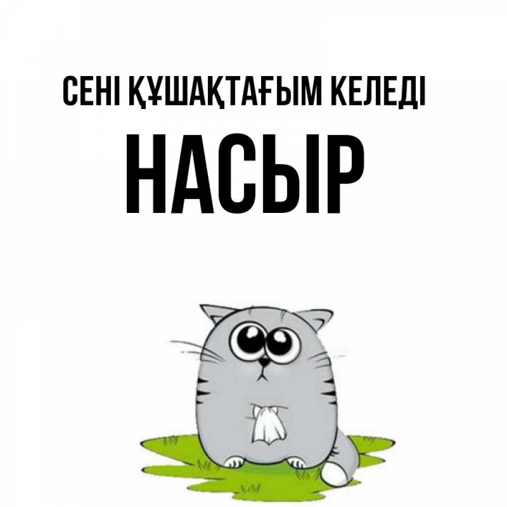 Күн сайын ашық хат с именем, НАСЫР сені құшақтағым келеді котик теребит платочек сидя на травке Онлайн тегін жүктеп алу тілектері бар керемет карта 