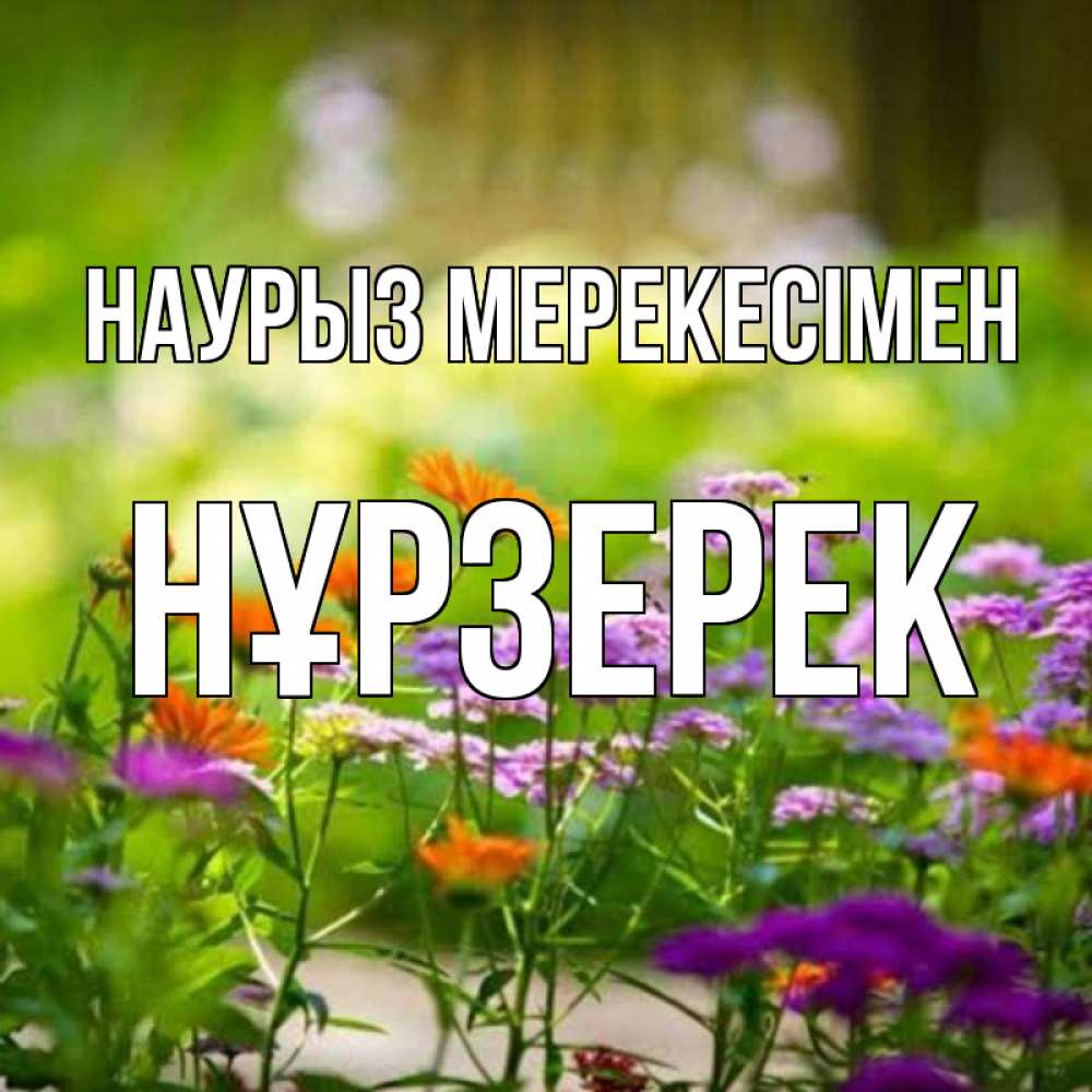 Күн сайын ашық хат с именем, НҰРЗЕРЕК Наурыз мерекесімен цветы Онлайн тегін жүктеп алу тілектері бар керемет карта 