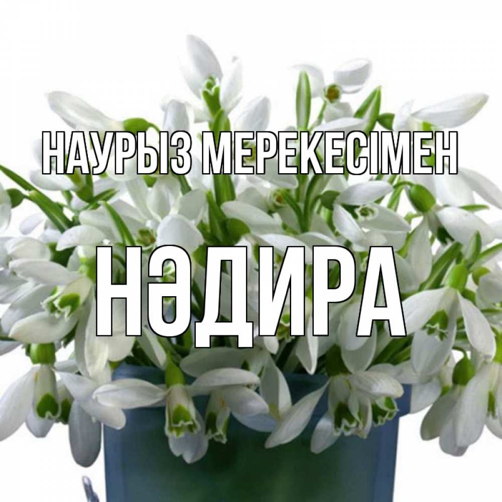 Күн сайын ашық хат с именем, НӘДИРА Наурыз мерекесімен цветы к наурызу новый год в Казахстане Онлайн тегін жүктеп алу тілектері бар керемет карта 