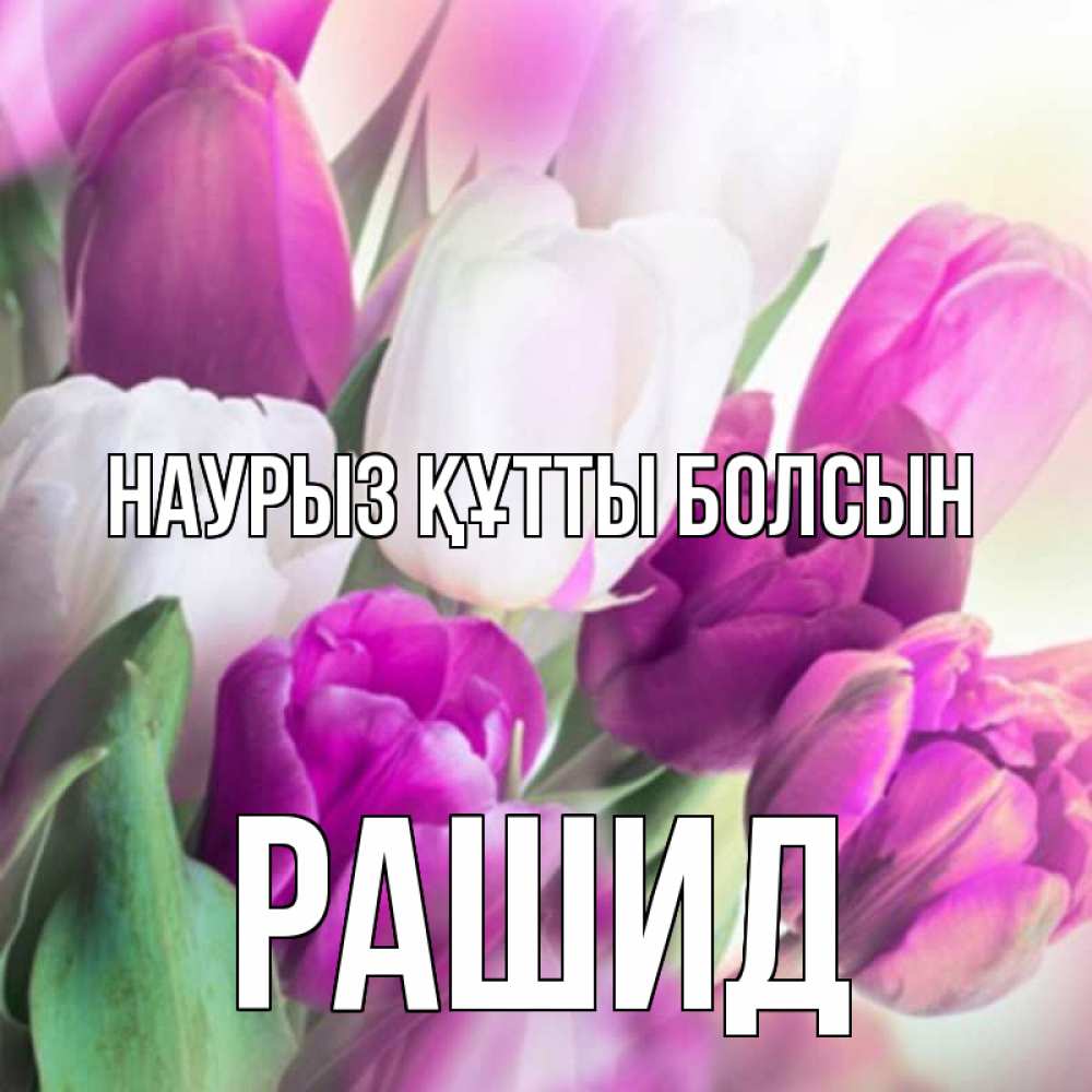 Күн сайын ашық хат с именем, Рашид Наурыз құтты болсын весна 1 Онлайн тегін жүктеп алу тілектері бар керемет карта 