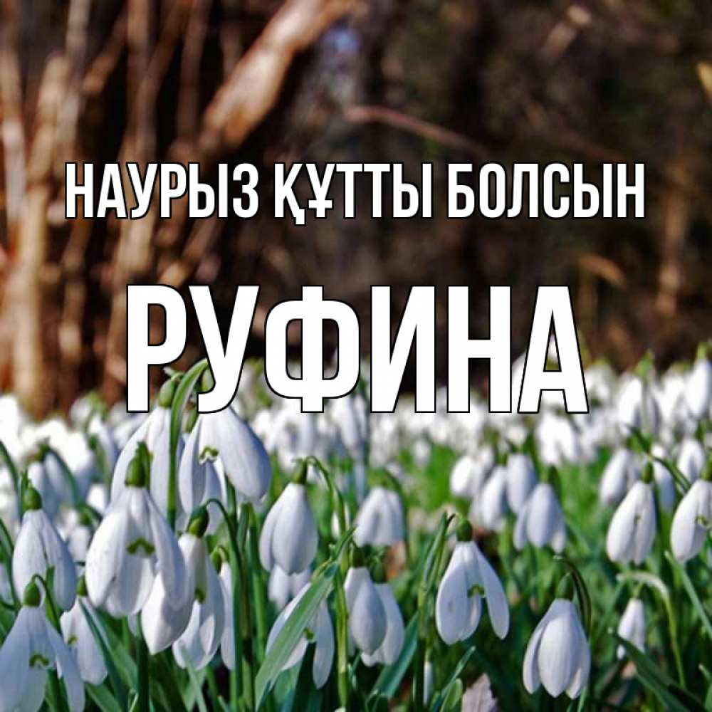 Күн сайын ашық хат с именем, Руфина Наурыз құтты болсын с подснежниками 1 Онлайн тегін жүктеп алу тілектері бар керемет карта 