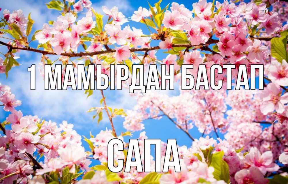 Күн сайын ашық хат с именем, САПА 1 мамырдан бастап С 1 мая Онлайн тегін жүктеп алу тілектері бар керемет карта 