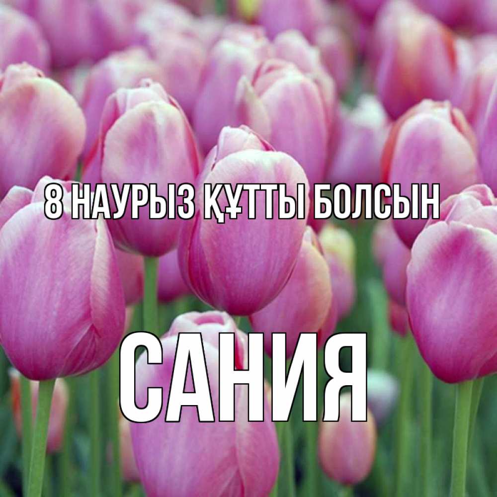 Күн сайын ашық хат с именем, Сания 8 наурыз құтты болсын на международный женский день 3 Онлайн тегін жүктеп алу тілектері бар керемет карта 