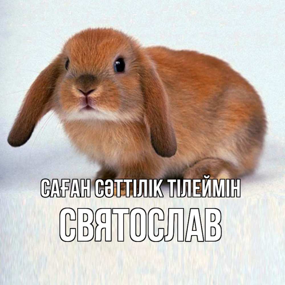 Күн сайын ашық хат с именем, Святослав Саған сәттілік тілеймін вставить текст в открытку по выбору Онлайн тегін жүктеп алу тілектері бар керемет карта 