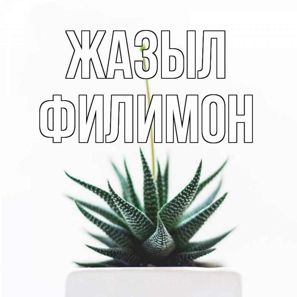 Күн сайын ашық хат с именем, Филимон Жазыл короче это непонятная колючка Онлайн тегін жүктеп алу тілектері бар керемет карта 