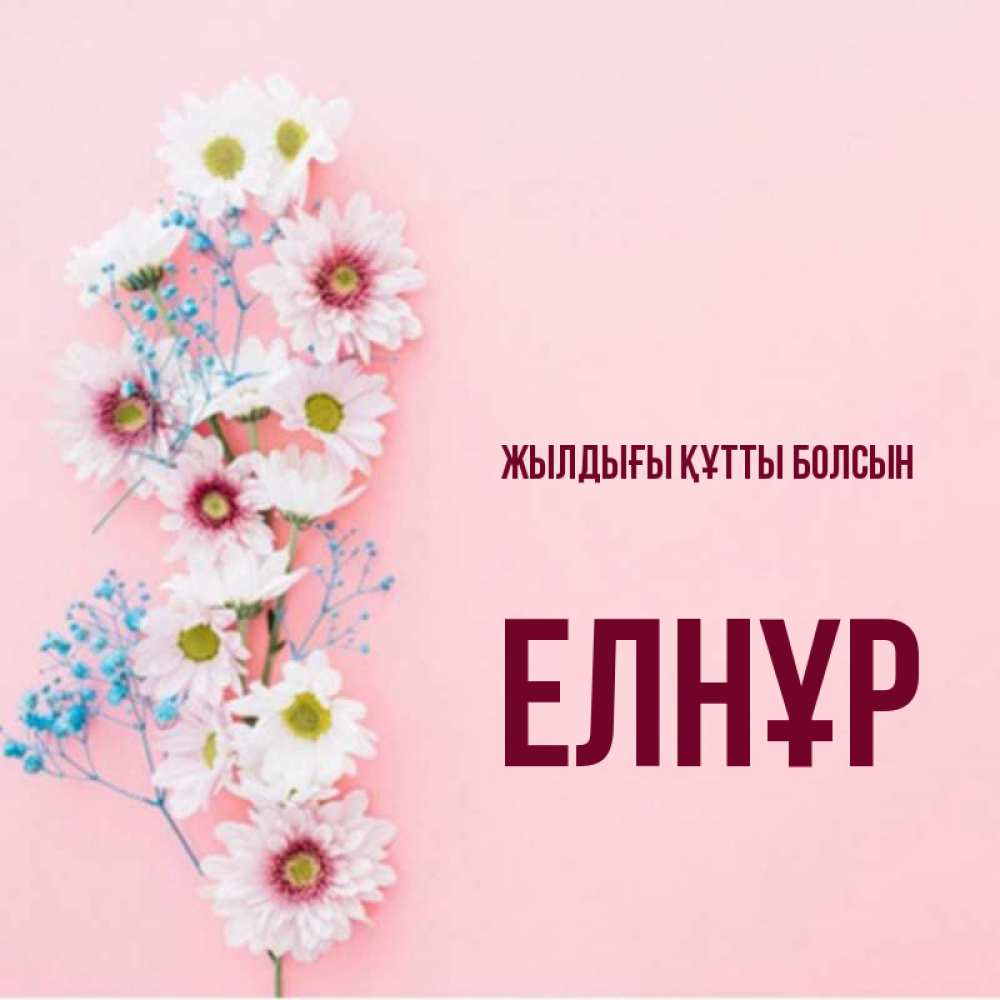Күн сайын ашық хат с именем, Елнұр Жылдығы құтты болсын Родная моя с днем рождения тебя картинка с цветами белыми и голубыми Онлайн тегін жүктеп алу тілектері бар керемет карта 