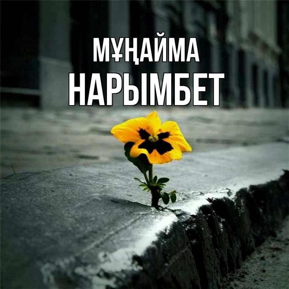 Күн сайын ашық хат с именем, Нарымбет Мұңайма не сдавайся Онлайн тегін жүктеп алу тілектері бар керемет карта 