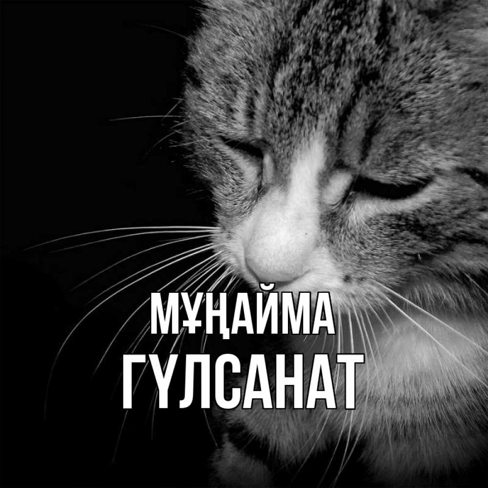 Күн сайын ашық хат с именем, ГҮЛСАНАТ Мұңайма грустный котик Онлайн тегін жүктеп алу тілектері бар керемет карта 