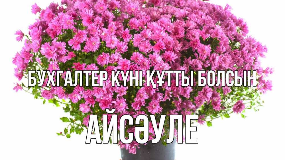 Күн сайын ашық хат с именем, АЙСӘУЛЕ бухгалтер күні құтты болсын с днем бухгалтера Онлайн тегін жүктеп алу тілектері бар керемет карта 