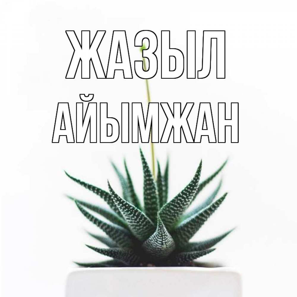 Күн сайын ашық хат с именем, АЙЫМЖАН Жазыл короче это непонятная колючка Онлайн тегін жүктеп алу тілектері бар керемет карта 