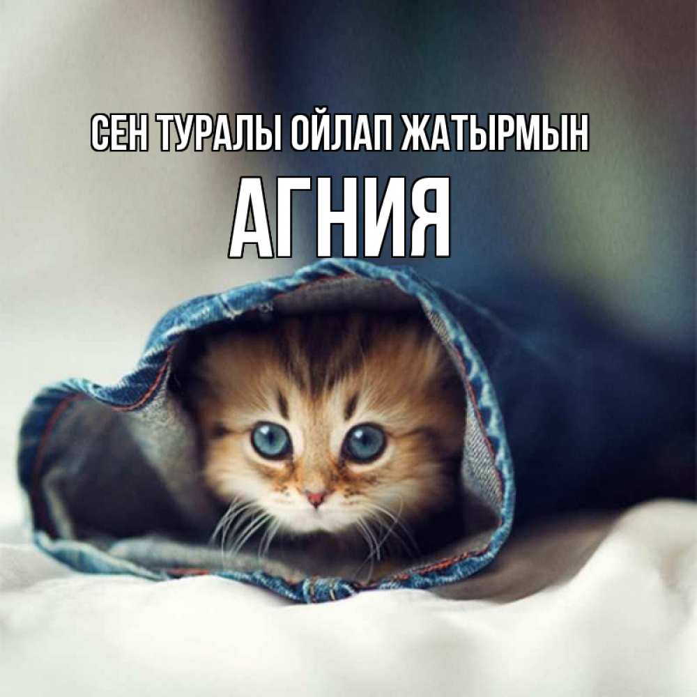 Күн сайын ашық хат с именем, Агния Сен туралы ойлап жатырмын мне без тебя плохо Онлайн тегін жүктеп алу тілектері бар керемет карта 