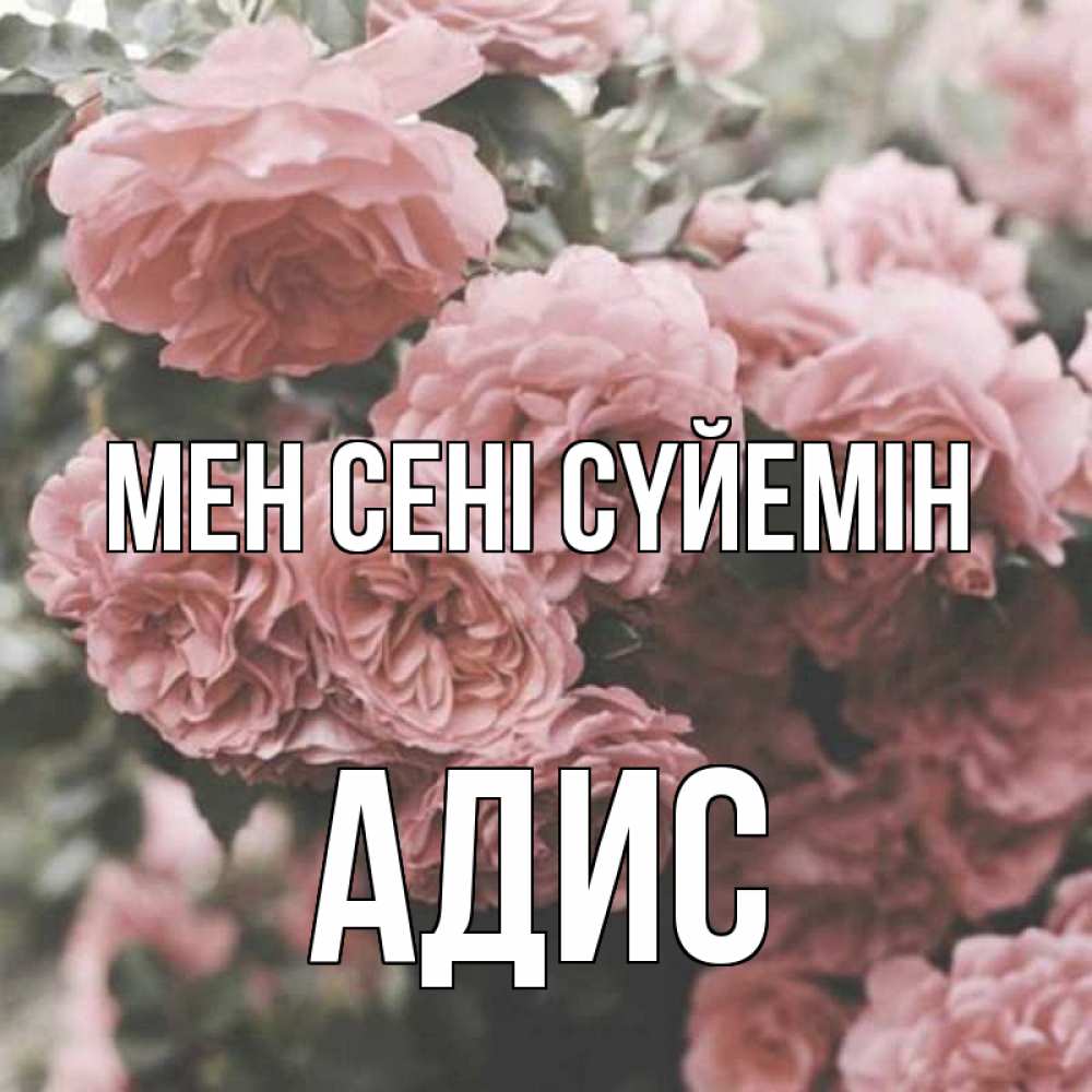 Күн сайын ашық хат с именем, Адис Мен сені сүйемін розы 3 Онлайн тегін жүктеп алу тілектері бар керемет карта 