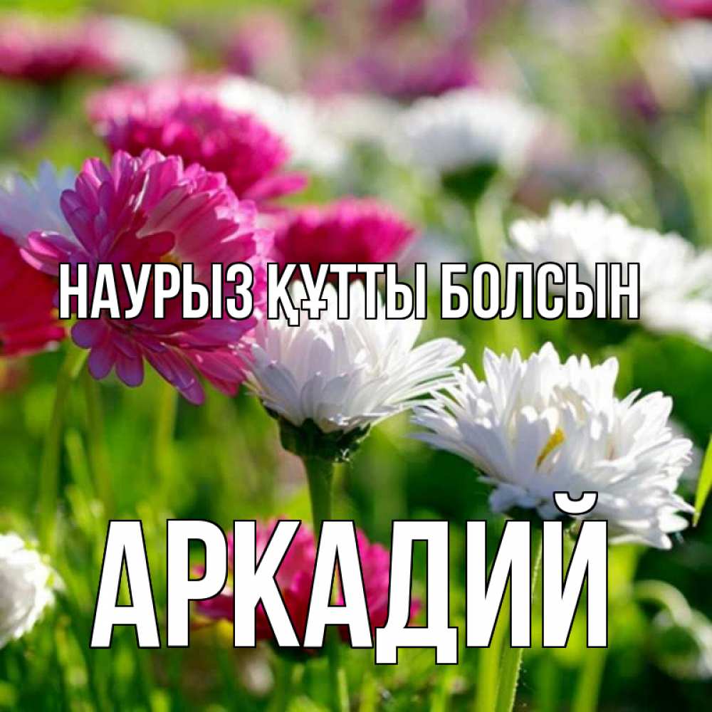Күн сайын ашық хат с именем, Аркадий Наурыз құтты болсын наурыз Онлайн тегін жүктеп алу тілектері бар керемет карта 