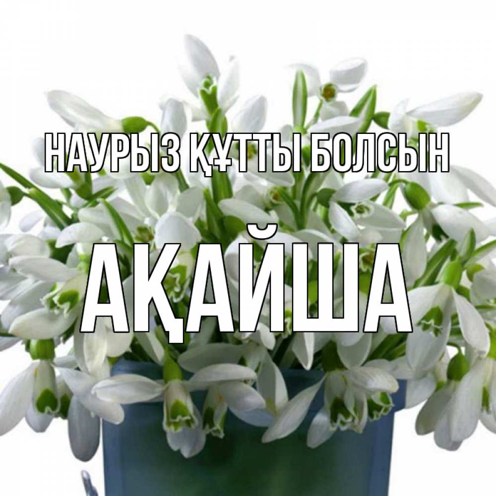 Күн сайын ашық хат с именем, АҚАЙША Наурыз құтты болсын цветы к наурызу Онлайн тегін жүктеп алу тілектері бар керемет карта 