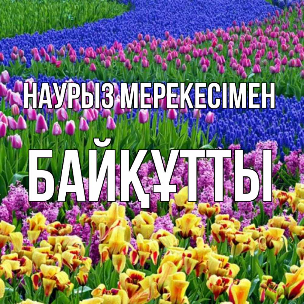 Күн сайын ашық хат с именем, Байқұтты Наурыз мерекесімен цветы Онлайн тегін жүктеп алу тілектері бар керемет карта 