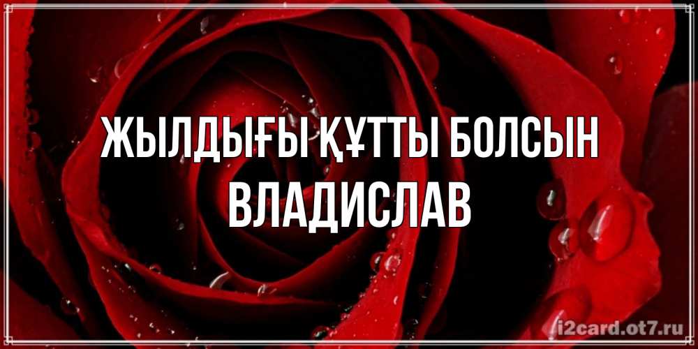Күн сайын ашық хат с именем, Владислав Жылдығы құтты болсын крупная бордовая роза Онлайн тегін жүктеп алу тілектері бар керемет карта 
