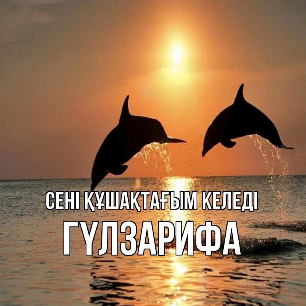 Күн сайын ашық хат с именем, ГҮЛЗАРИФА сені құшақтағым келеді рыбы на закате Онлайн тегін жүктеп алу тілектері бар керемет карта 